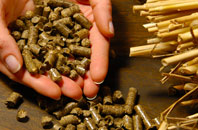 free Read biomass boiler quotes
